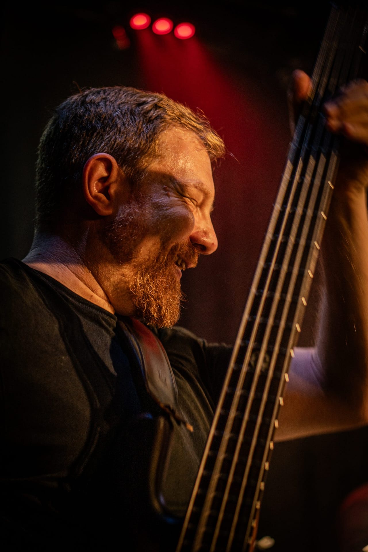Bass Guitarist